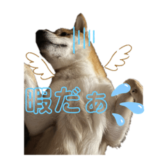 [LINEスタンプ] れお☆スタンプ