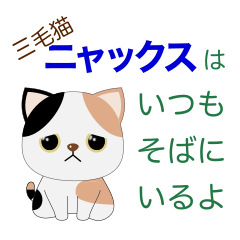 [LINEスタンプ] 三毛猫ニャックスはいつもそばにいる