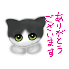 [LINEスタンプ] ハチワレ猫の花子ちゃんスタンプ