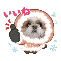 [LINEスタンプ] シーズー暖ちゃんねるスタンプ