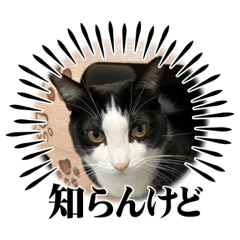 [LINEスタンプ] RIRI＆RON⑦