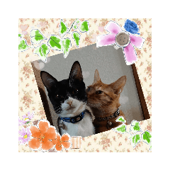 [LINEスタンプ] May＆CRAW