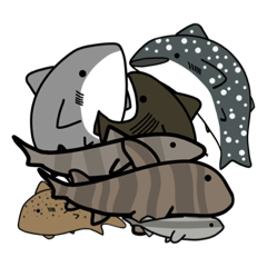 [LINEスタンプ] さめ学