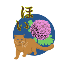 [LINEスタンプ] ねこ、ここにいる