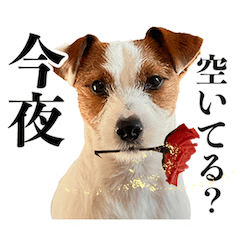[LINEスタンプ] つぶの日スタンプ第2弾