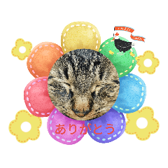 [LINEスタンプ] きゃべちゃんスタンプ春