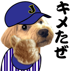 [LINEスタンプ] 野球実況犬のマルちゃん(実写）