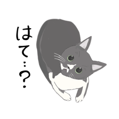 [LINEスタンプ] 猫のもちゃん完全版