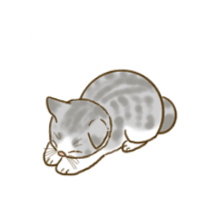 [LINEスタンプ] ゆるい子猫スタンプの画像（メイン）