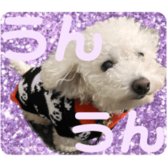 [LINEスタンプ] もぷ♡biglove