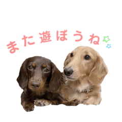[LINEスタンプ] ちゃおもか