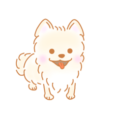 [LINEスタンプ] ポメラニアンのコアくん