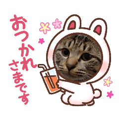 [LINEスタンプ] 太郎の日常 ⑩