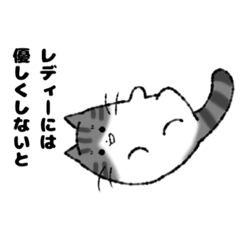 [LINEスタンプ] うちの猫スタンプ【第4弾】サバトラ