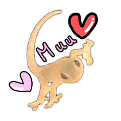 [LINEスタンプ] ニホンヤモリ