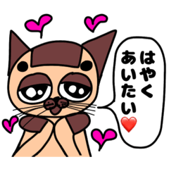 [LINEスタンプ] 可愛くないシャム猫くん！！2