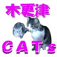 [LINEスタンプ] 木更津Cats
