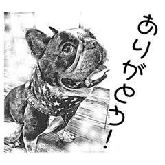 [LINEスタンプ] フレンチブルドッグ ルー