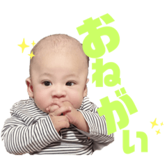 [LINEスタンプ] レオ スカイ ノア