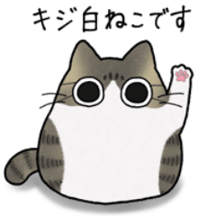 [LINEスタンプ] もちゃねこキジ白