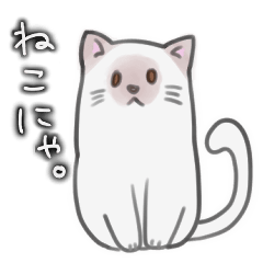 [LINEスタンプ] ねこにゃ。