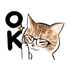 [LINEスタンプ] 毎日送りたい！猫ちゃんスタンプ