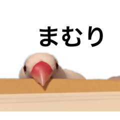 [LINEスタンプ] こてつのスタンプ100