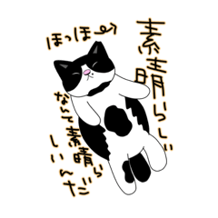 [LINEスタンプ] 元気モリモリハチワレチャンスタンプ