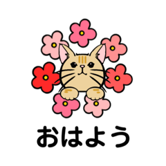 [LINEスタンプ] 猫の会話(花畑②)