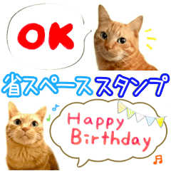 [LINEスタンプ] 茶トラ 省スペース 吹き出し スタンプ