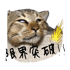 [LINEスタンプ] キジトラのトロロ