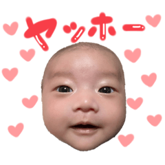 [LINEスタンプ] ぼくはゆうひ。3