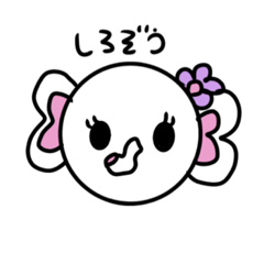 [LINEスタンプ] しろぞうの一言スタンプ