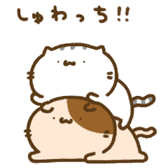 [LINEスタンプ] にゃんことにゃんたの色々