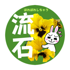 [LINEスタンプ] 春の花とブラウン＆コニー8使いやすく便利