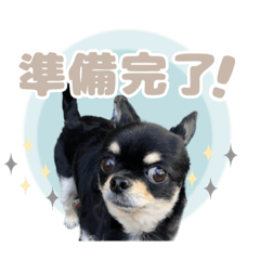 [LINEスタンプ] 我が家のまろ4