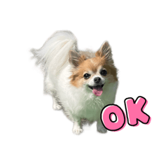 [LINEスタンプ] 3チーナッキー