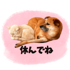 [LINEスタンプ] ヒロとこまるの日常スタンプ2