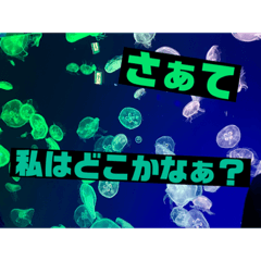 [LINEスタンプ] アホみたいな最強スタンプ