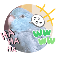 [LINEスタンプ] マメルリハ達2