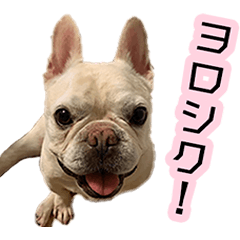 [LINEスタンプ] ありがとう！くぅ太郎