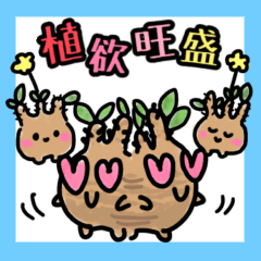 [LINEスタンプ] コーデックス(塊根植物)ライフ