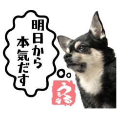 [LINEスタンプ] うるるスタンプ④-2