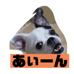 [LINEスタンプ] あぃーんのアンちゃん