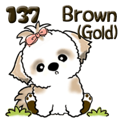 [LINEスタンプ] シーズー犬 137『brown-gold ＆ white』の画像（メイン）
