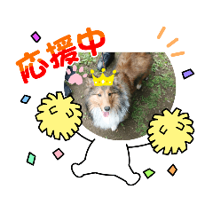 [LINEスタンプ] シェルティアシュのスタンプ2