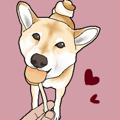 [LINEスタンプ] ラブリー柴犬たまちゃん2023