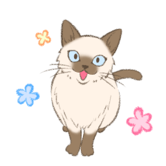 [LINEスタンプ] シャム猫のシャーコ