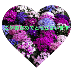 [LINEスタンプ] おめでとう おめでとう