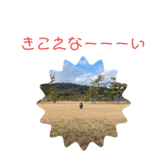 [LINEスタンプ] 足立家まりか